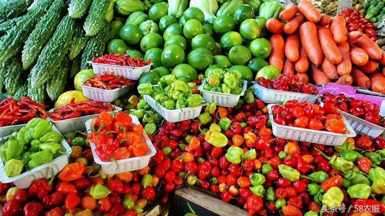 10.18农服资讯:电商法:个人网销农副产品不交税