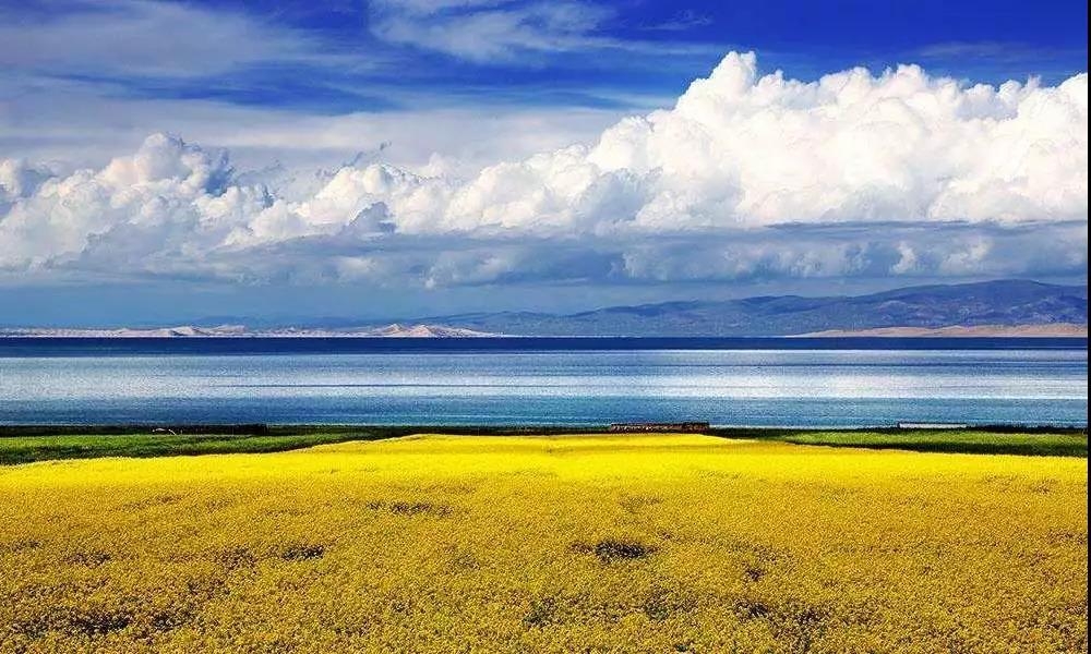 大美青海旅游自驾拼车,大美青海旅行天堂