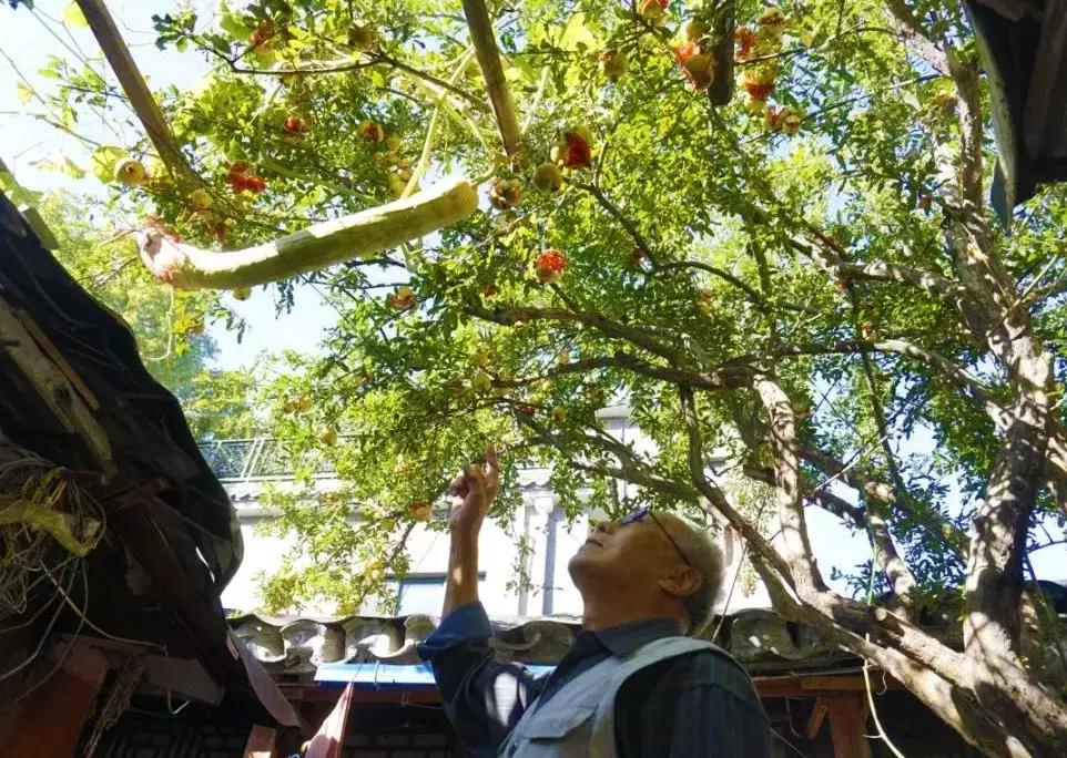 瓜果飘香的丰收季,内蒙古丰收节上瓜果飘香
