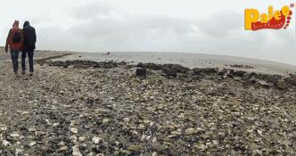 不锈钢跑鞋，让你体验”赤足感”！