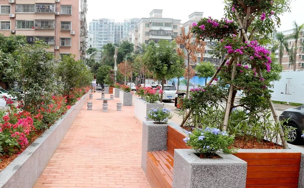 珠海香洲,背街小巷也漂亮