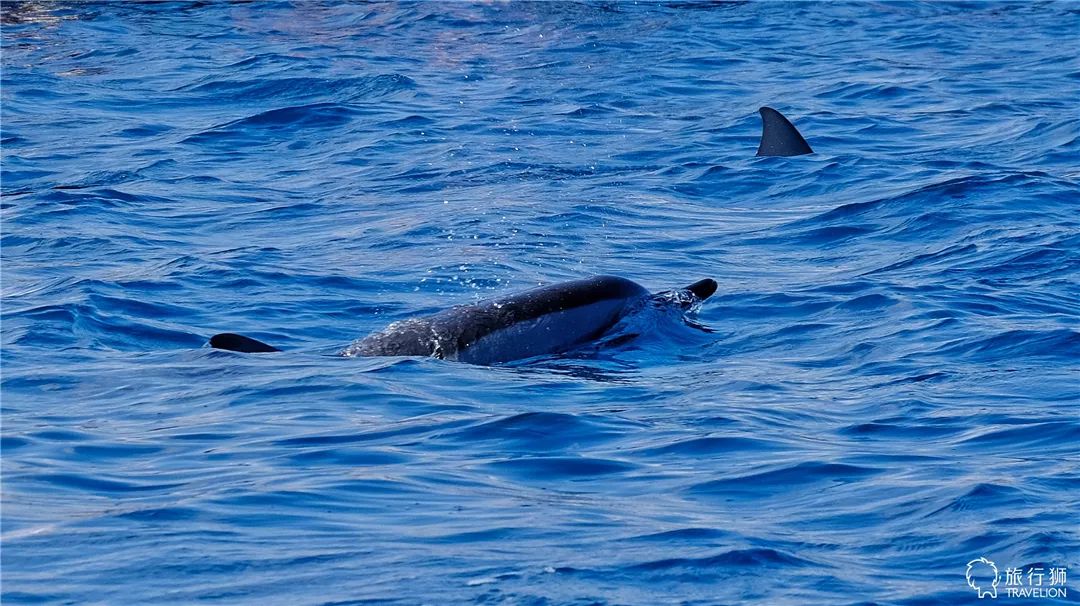 你喜欢什么样的海水,你喜欢什么样的海