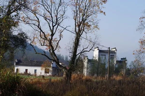 秋天的安徽,这才是安徽秋天该有的样子