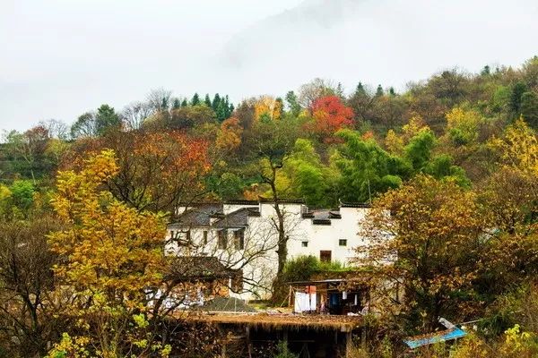 秋天的安徽,这才是安徽秋天该有的样子