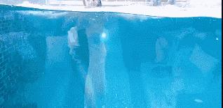 搞笑gif妹子的内心是崩溃的,搞笑gif妹子原来是个逗比