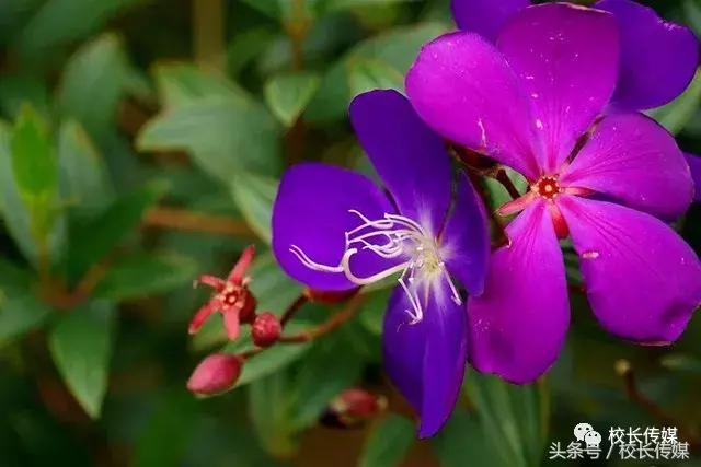 课堂上没听懂老师讲了怎么办,学生听不懂老师讲课该怎么办