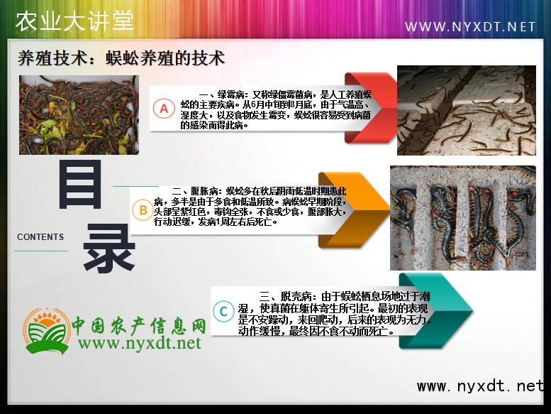 养殖蜈蚣都是怎么加工的,蜈蚣养殖和蝎子养殖利润