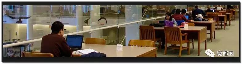 微软创始人逝世读后感,微软创始人传奇历史