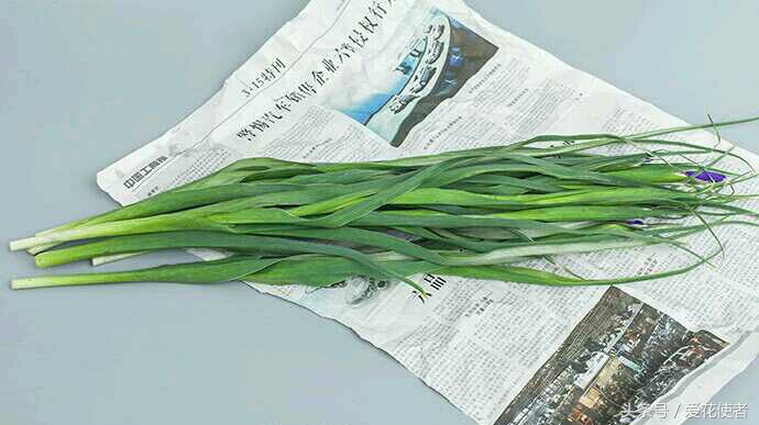 鲜花蔫了怎么办才能恢复原样,已经发蔫的鲜花怎么处理