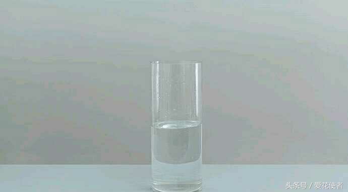 鲜花蔫了怎么办才能恢复原样,已经发蔫的鲜花怎么处理