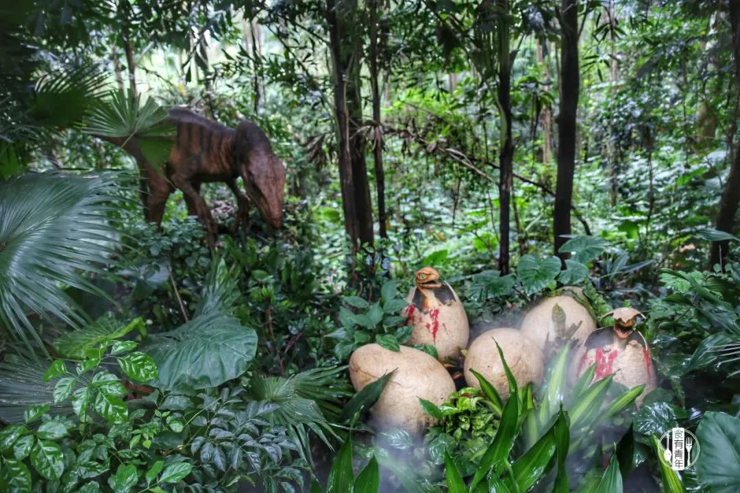 动物园万圣节里面有什么,万圣节动物王国