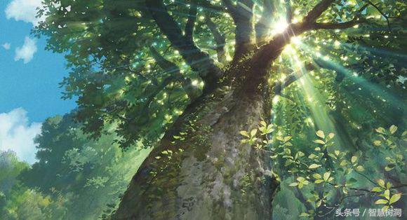 陈果老师讲的树洞梁朝伟,陈果有关树洞的音频