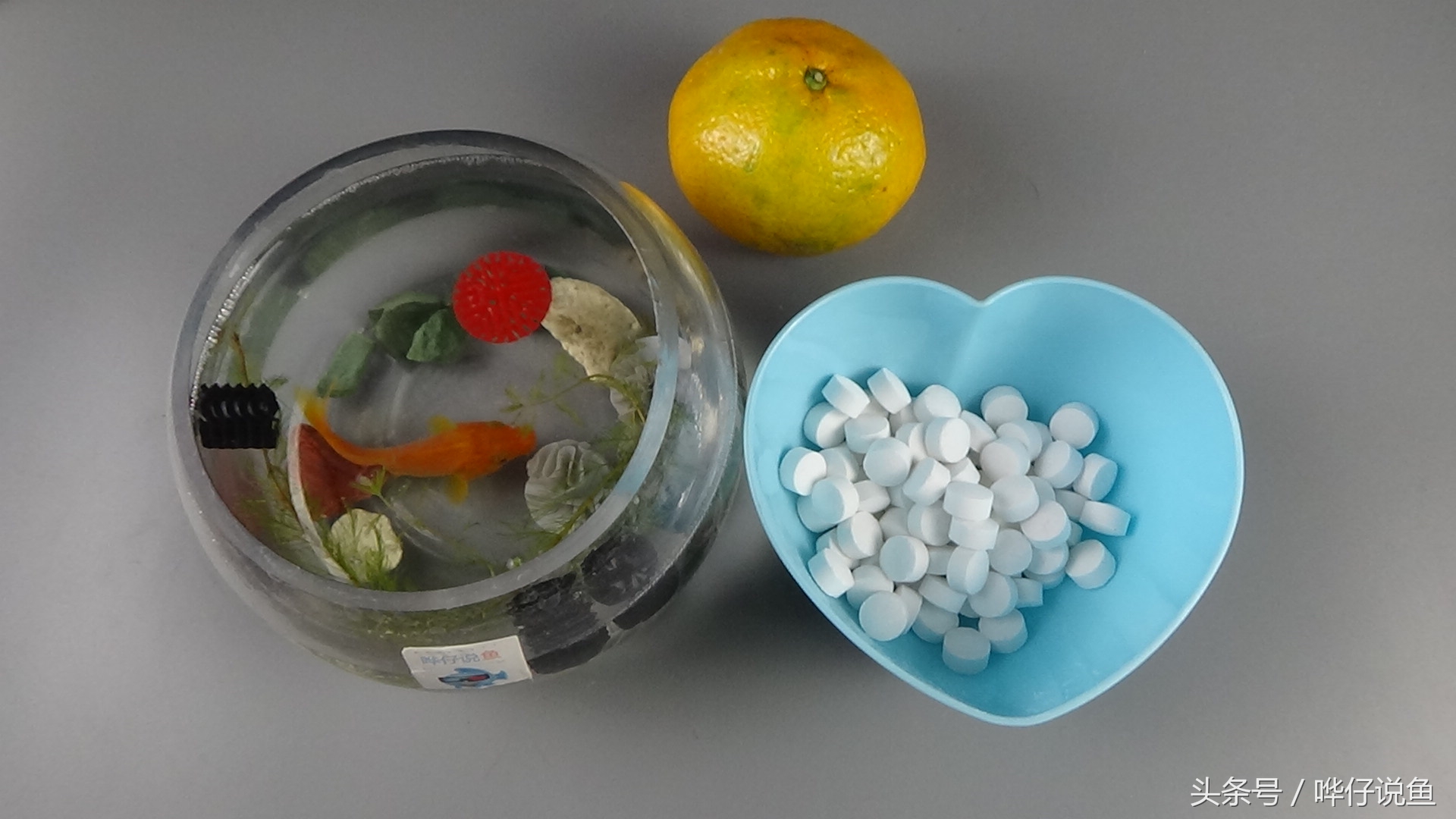 说句实话！要想把观赏鱼养好，这种鱼药还是常备一点的好