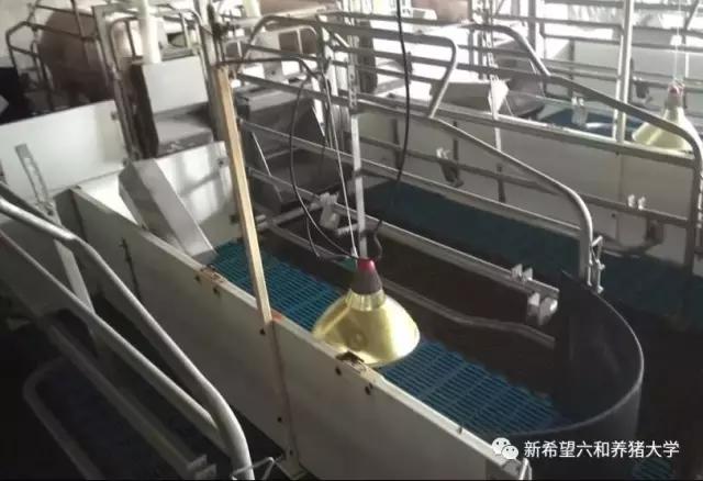 子宫炎症真不少，这些方面你是否做到？