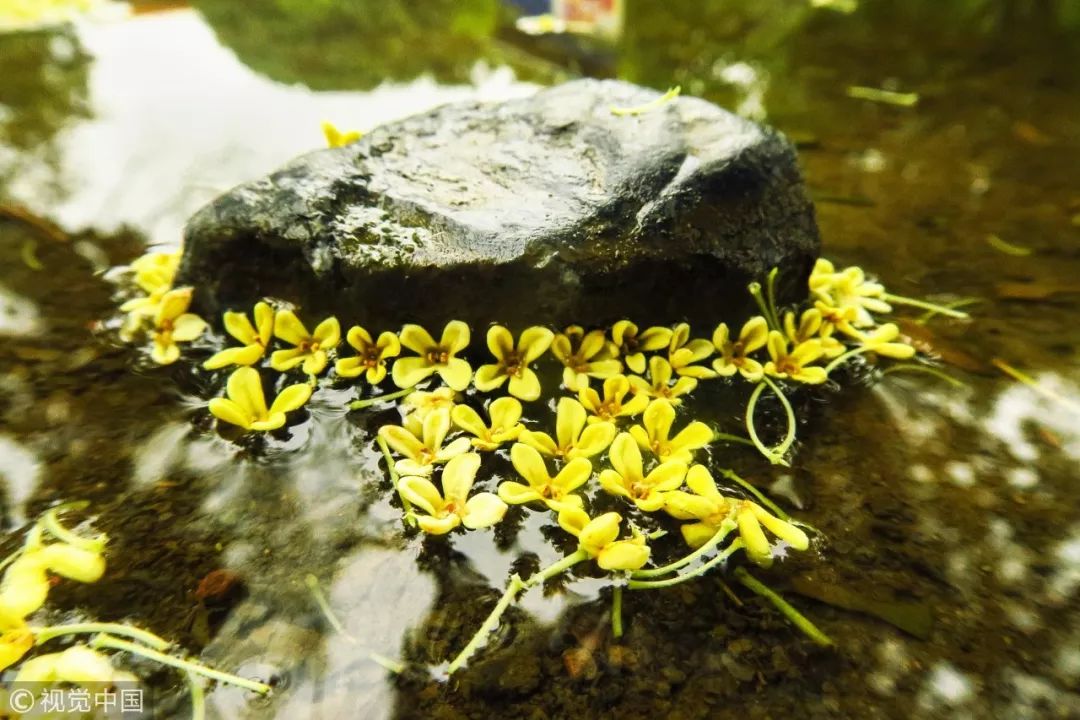 这里是广西英语,这里是广西啊