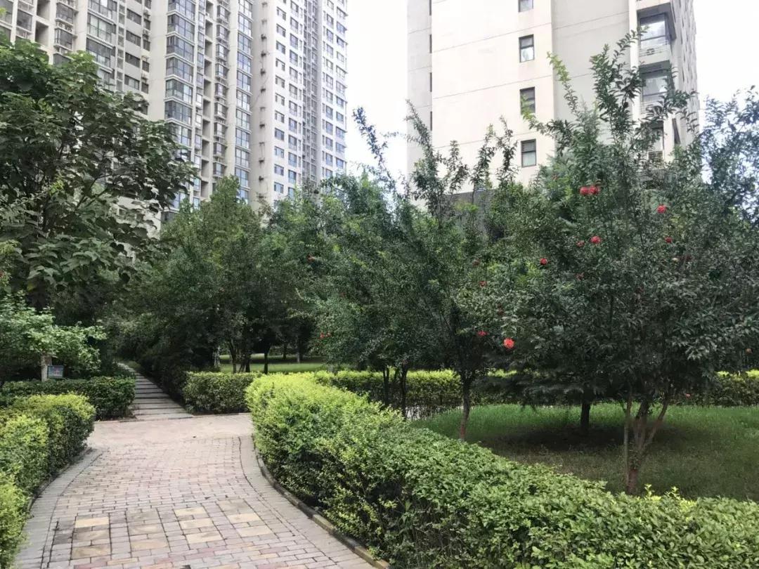 石家庄长安区房价最新价格表,石家庄二环内房价多少钱一平