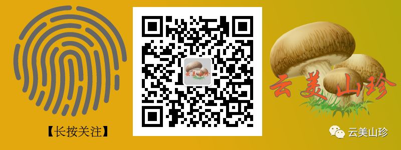 四季山珍专营云南野生菌,云南山珍野菌一手货源