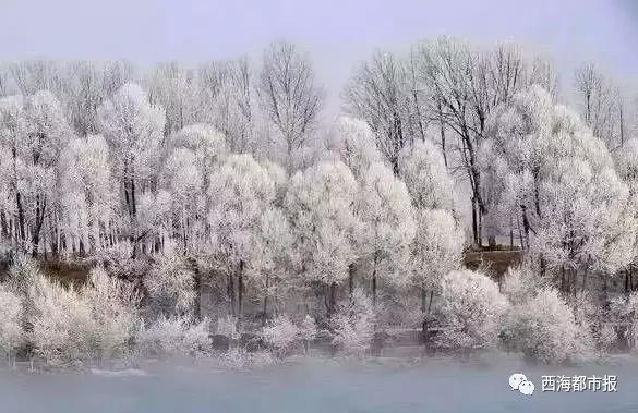 美爆了一大波青海冬日奇景,青海神秘奇景