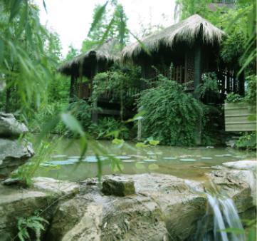 重庆火锅节有多少家知名火锅店,重庆火锅狂欢节