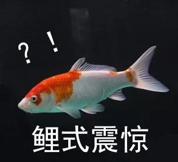还梦想当“锦鲤”？你可能早就进了*子骗**的局