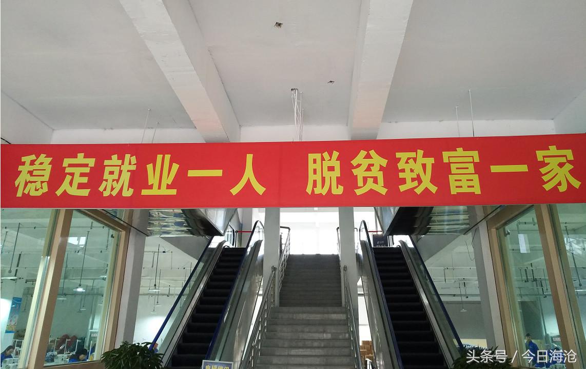 海沧区东西部扶贫协作,脱贫攻坚助力贫困户增加收入