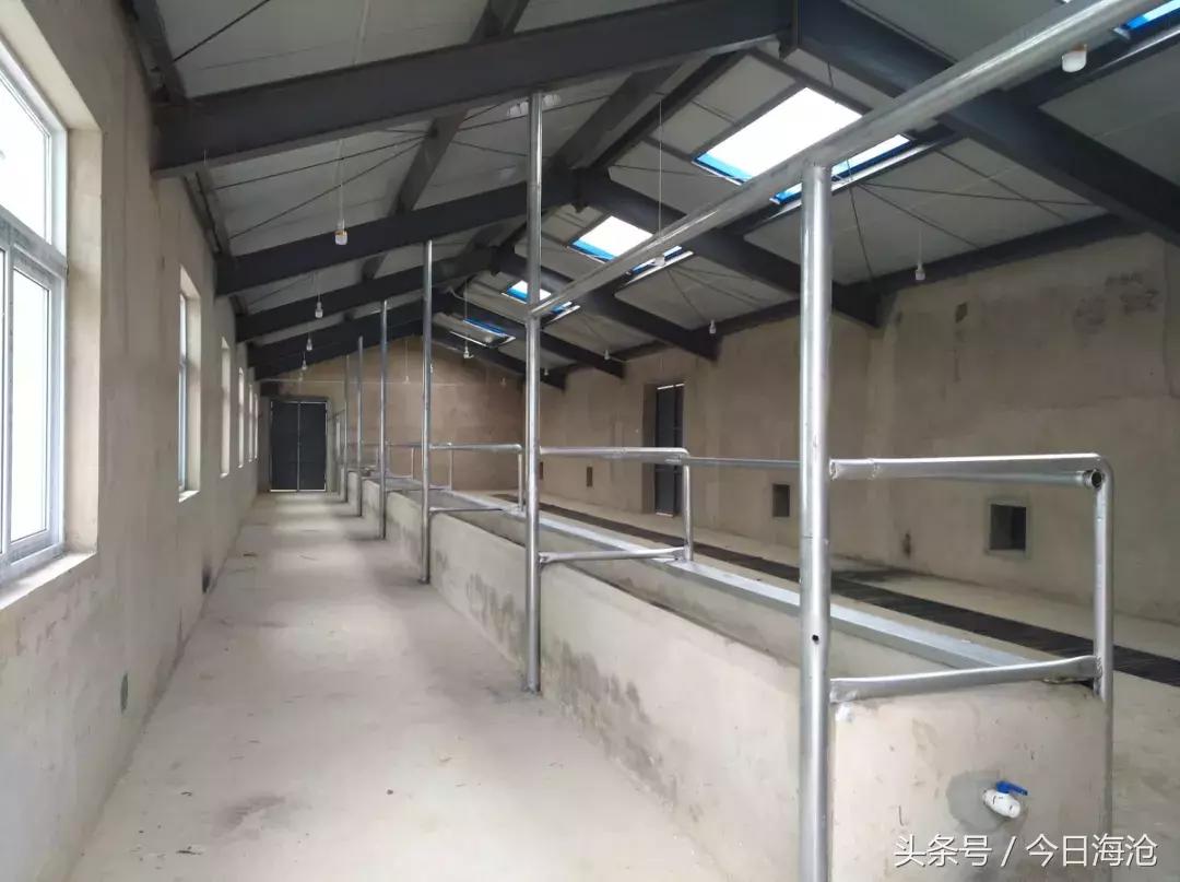 月入上万的贫困小伙子,在贫困县年收入20万是什么水平