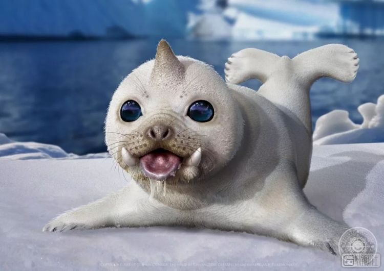 现实世界里有各种各样的宝可梦,真实世界的宝可梦长什么样