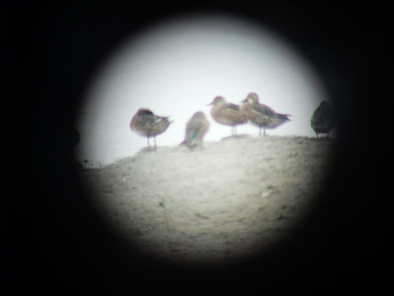 穷驴旅游,港囧游香港