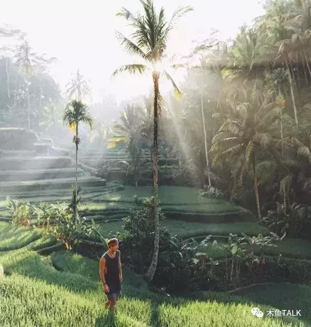 巴厘岛游玩必备攻略,巴厘岛游玩攻略最佳时间