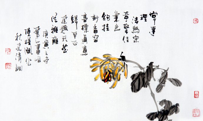 陈淳花鸟画高清作品欣赏,宋画花鸟画作品欣赏