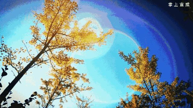 走进云南宣威,走进宣威市