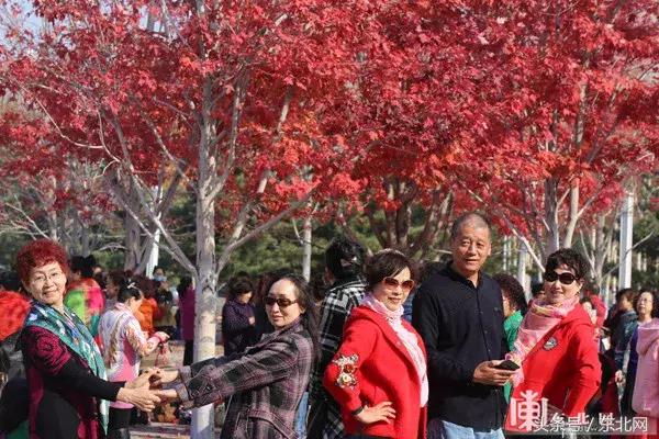 哈尔滨高校打卡,哈尔滨的风向标著名打卡地