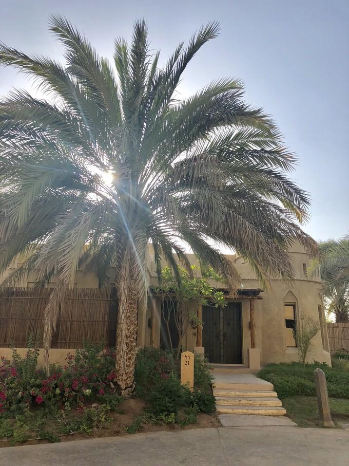 阿联酋沙漠之旅骑着骆驼去旅行,记录一次说走就走的阿联酋迪拜游