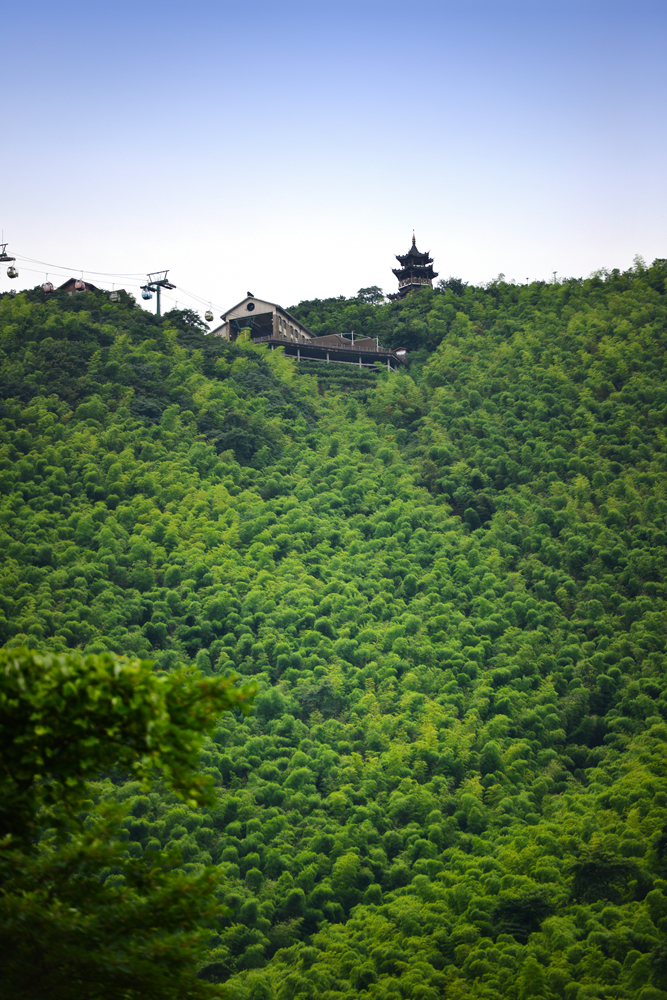 宜兴竹海的风景,推荐一个好的地方宜兴竹海