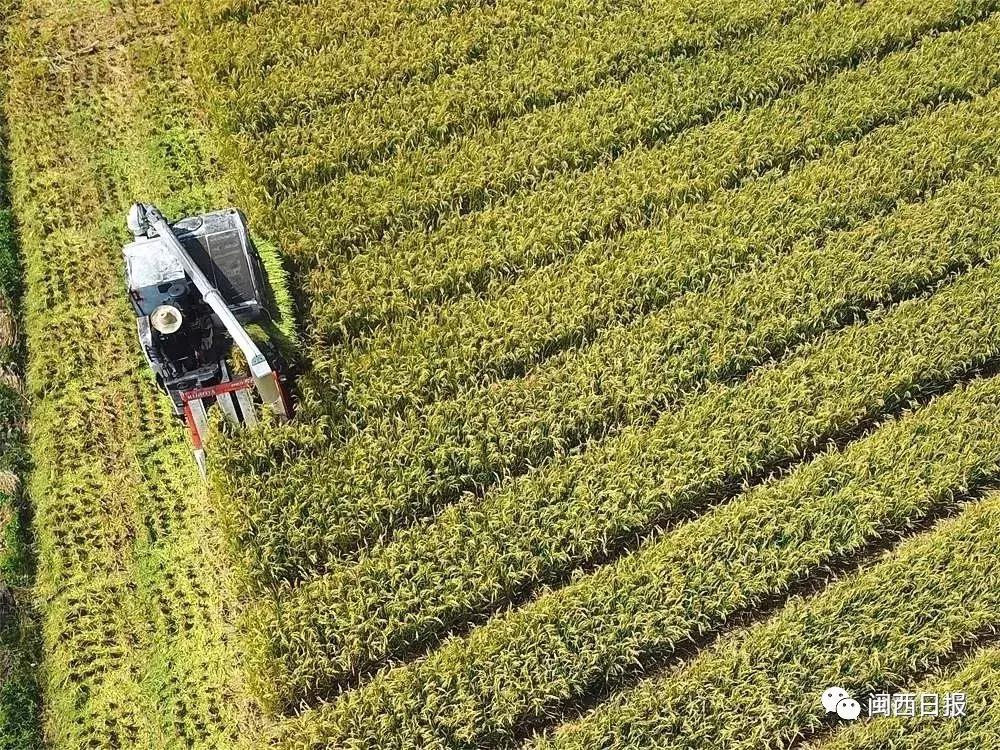 龙岩这个“生态粮仓”美翻了，还是中科院研究基地！