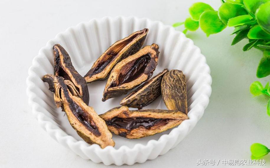 槟榔加烟什么危害,槟榔加烟的危害到底有多大