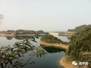 随笔——雪莲花：寻梦西溪