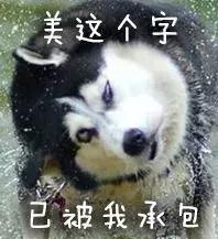 林更新高中时的留言,林更新表面中二搞笑却是敢做敢当