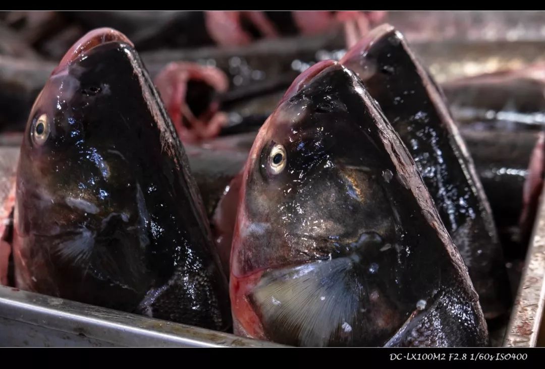 松下lx100m2色彩滤镜如何设置,松下lx100m2画质对比