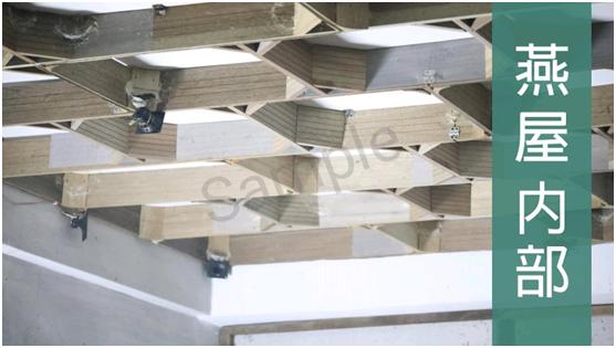 燕窝没有你想象中那样高不可攀,燕窝从古至今都备受欢迎的原因