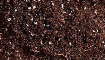 绌鸿胺浣充汉鍏拌姳璇存槑,绌鸿胺浣充汉鑺卞崏