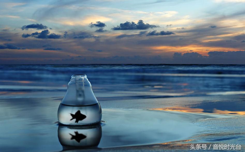 令人窒息的50首经典轻音乐,安详优美的轻音乐