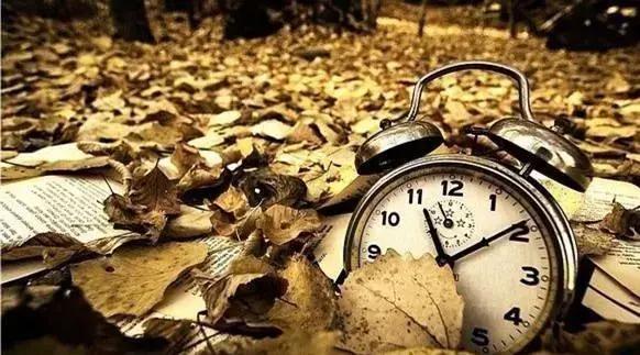 没有最狠，只有更狠！1天14家！网贷“爆雷”案情大曝光