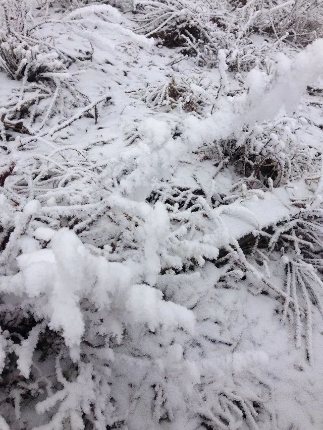 成都花水湾旅游攻略一日游,花水湾西岭雪山二日游