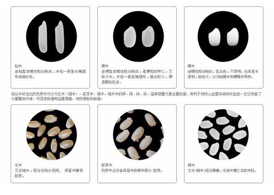 生酮饮食糖尿病专家共识,生酮饮食是逆转糖尿病唯一方法