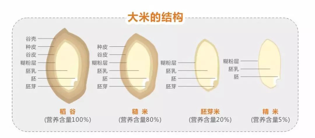 生酮饮食糖尿病专家共识,生酮饮食是逆转糖尿病唯一方法