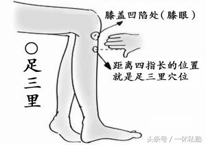 小儿呕吐中医辨证分型,呕吐的辨证分型