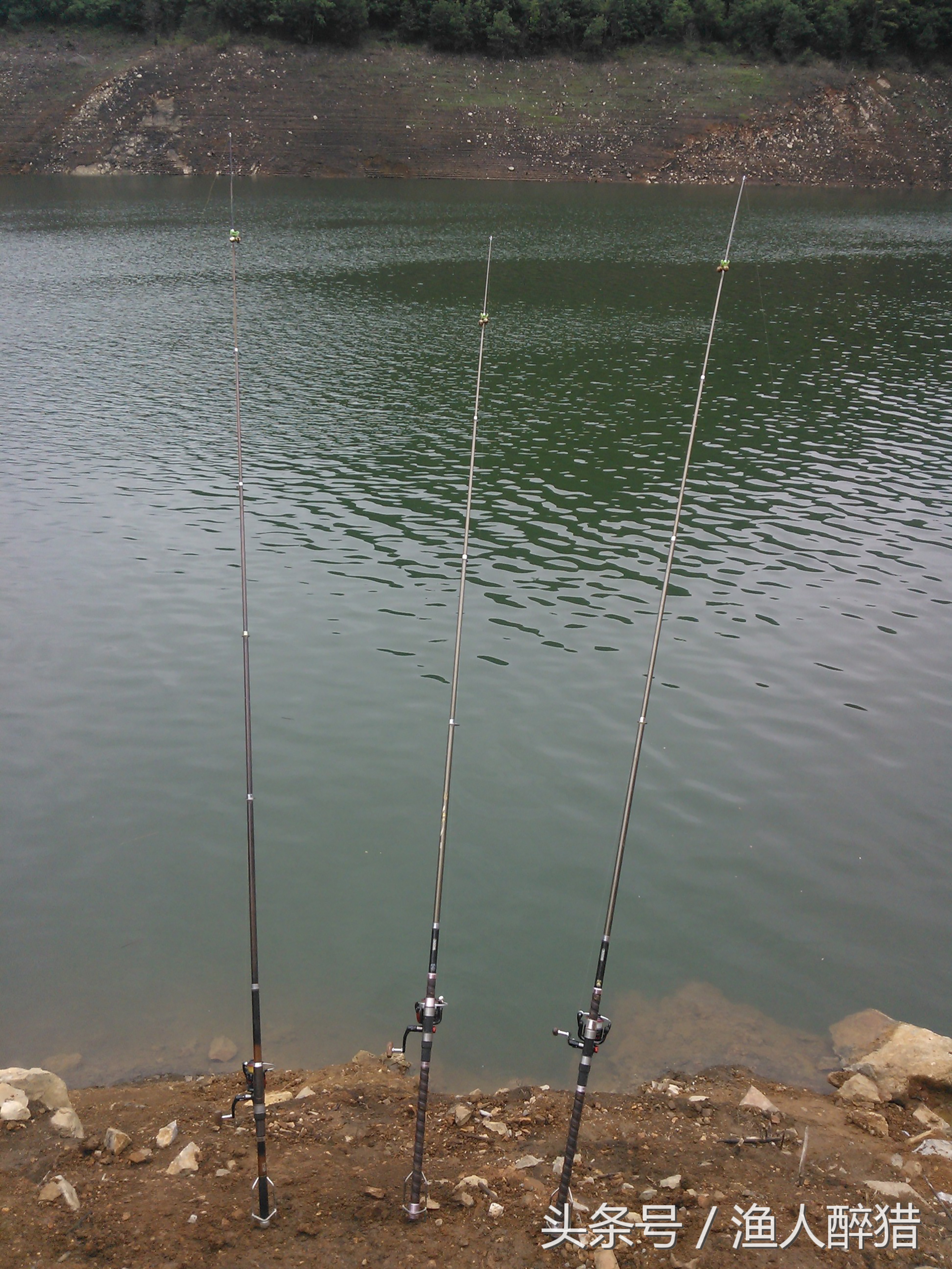 加粗尾浮漂挂玉米粒钓鲤鱼怎么调,夜间挂玉米粒钓鲤鱼调漂最佳方法