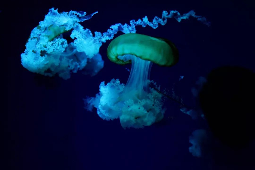 没有人来人往的城市,没有人山人海的地方