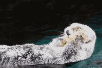 冬季护肤这些雷区不能踩,秋冬最容易被忽略的护肤步骤